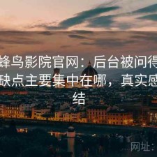 聊聊蜂鸟影院官网：后台被问得最多的是缺点主要集中在哪，真实感受总结