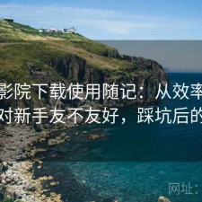 蜂鸟影院下载使用随记：从效率角度来看对新手友不友好，踩坑后的总结