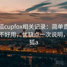 茶杯狐cupfox相关记录：简单直接地说好不好用，优缺点一次说明，茶杯狐a