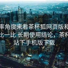 从效率角度来看茶杯狐网页版和同类平台比一比 长期使用结论，茶杯狐网站下手机版下载