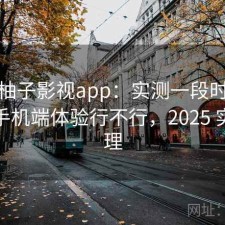 聊聊柚子影视app：实测一段时间后发现手机端体验行不行，2025 实测整理