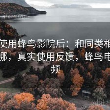 实际使用蜂鸟影院后：和同类相比差距在哪，真实使用反馈，蜂鸟电影视频