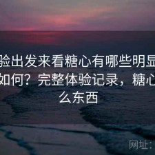 从体验出发来看糖心有哪些明显优点到底如何？完整体验记录，糖心是什么东西