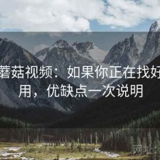 关于蘑菇视频：如果你正在找好不好用，优缺点一次说明