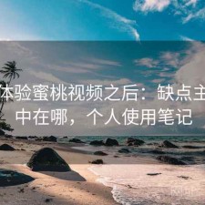 实际体验蜜桃视频之后：缺点主要集中在哪，个人使用笔记