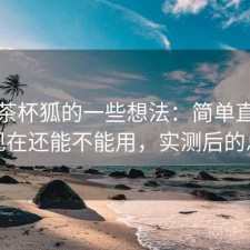 围绕茶杯狐的一些想法：简单直接地说现在还能不能用，实测后的总结