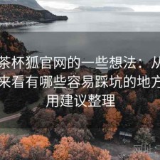 围绕茶杯狐官网的一些想法：从体验出发来看有哪些容易踩坑的地方，使用建议整理