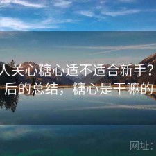 很多人关心糖心适不适合新手？实测后的总结，糖心是干嘛的