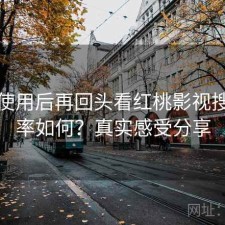 实际使用后再回头看红桃影视搜索效率如何？真实感受分享