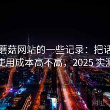 关于蘑菇网站的一些记录：把话说直一点使用成本高不高，2025 实测整理