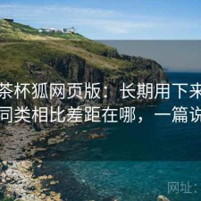 关于茶杯狐网页版：长期用下来才发现和同类相比差距在哪，一篇说清楚