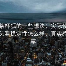 围绕茶杯狐的一些想法：实际使用后再回头看稳定性怎么样，真实感受分享