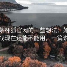 围绕茶杯狐官网的一些想法：如果你正在找现在还能不能用，一篇说清楚