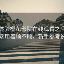 实际体验樱花影院在线观看之后：电脑端用着顺不顺，新手参考说明