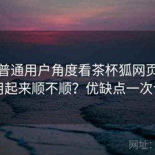 站在普通用户角度看茶杯狐网页版实际用起来顺不顺？优缺点一次说明