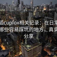 茶杯狐cupfox相关记录：在日常使用中有哪些容易踩坑的地方，真实感受分享