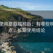 实际使用蘑菇视频后：有哪些明显优点，长期使用结论