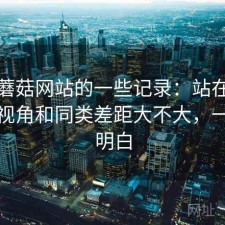 关于蘑菇网站的一些记录：站在普通用户视角和同类差距大不大，一篇讲明白