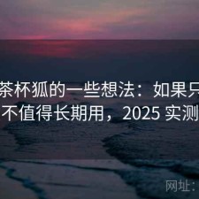 围绕茶杯狐的一些想法：如果只说结论值不值得长期用，2025 实测整理