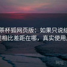 关于茶杯狐网页版：如果只说结论和同类相比差距在哪，真实使用反馈