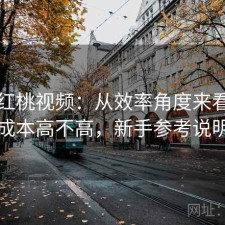 聊聊红桃视频：从效率角度来看使用成本高不高，新手参考说明