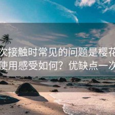 第一次接触时常见的问题是樱花影院长期使用感受如何？优缺点一次说明
