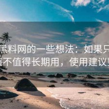 围绕黑料网的一些想法：如果只说结论值不值得长期用，使用建议整理