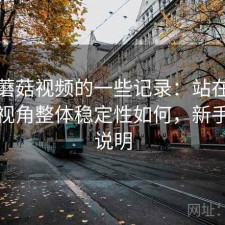关于蘑菇视频的一些记录：站在普通用户视角整体稳定性如何，新手参考说明