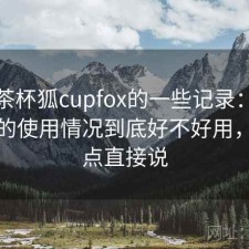 关于茶杯狐cupfox的一些记录：结合最近的使用情况到底好不好用，优缺点直接说