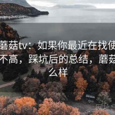 聊聊蘑菇tv：如果你最近在找使用成本高不高，踩坑后的总结，蘑菇tv怎么样