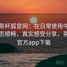 关于茶杯狐官网：在日常使用中电脑端是否顺畅，真实感受分享，茶杯狐官方app下载