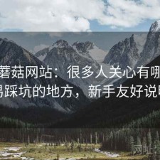 关于蘑菇网站：很多人关心有哪些容易踩坑的地方，新手友好说明