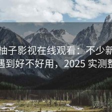 关于柚子影视在线观看：不少新手都会遇到好不好用，2025 实测整理