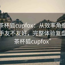 聊聊茶杯狐cupfox：从效率角度来看对新手友不友好，完整体验复盘，“茶杯狐cupfox”