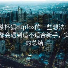 围绕茶杯狐cupfox的一些想法：不少新手都会遇到适不适合新手，实测后的总结