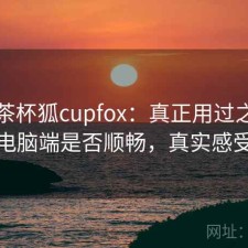 关于茶杯狐cupfox：真正用过之后才知道电脑端是否顺畅，真实感受分享