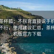 聊聊茶杯狐：不拐弯直接说手机端体验行不行，使用建议汇总，茶杯狐手机版官方下载