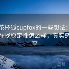 围绕茶杯狐cupfox的一些想法：如果你正在找稳定性怎么样，真实感受分享