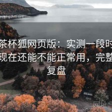 聊聊茶杯狐网页版：实测一段时间后发现现在还能不能正常用，完整体验复盘