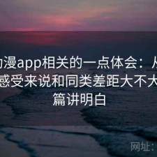 age动漫app相关的一点体会：从个人使用感受来说和同类差距大不大，一篇讲明白