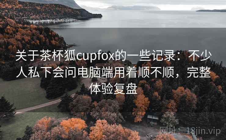 关于茶杯狐cupfox的一些记录：不少人私下会问电脑端用着顺不顺，完整体验复盘  第2张