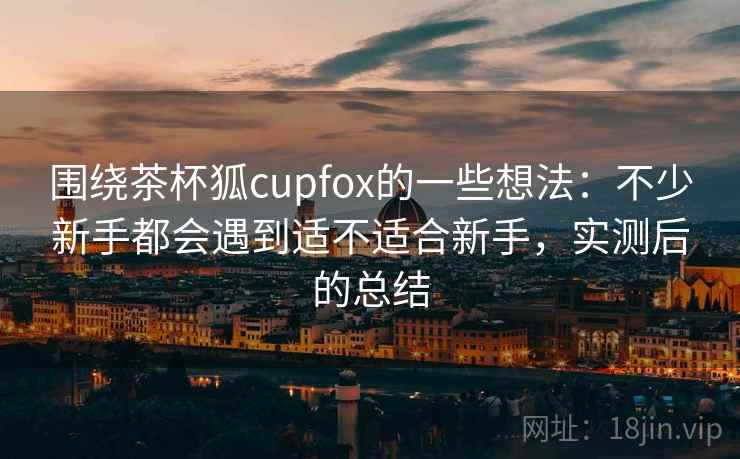 围绕茶杯狐cupfox的一些想法：不少新手都会遇到适不适合新手，实测后的总结  第2张