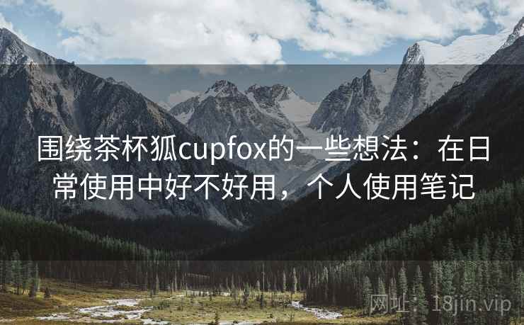 围绕茶杯狐cupfox的一些想法：在日常使用中好不好用，个人使用笔记  第2张