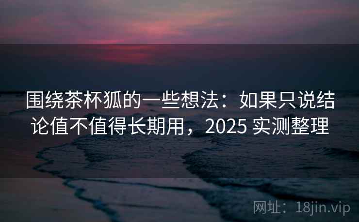 围绕茶杯狐的一些想法：如果只说结论值不值得长期用，2025 实测整理  第1张