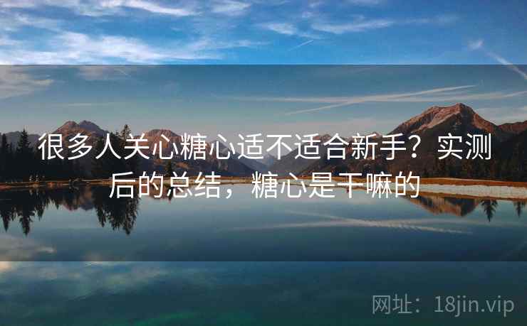 很多人关心糖心适不适合新手？实测后的总结，糖心是干嘛的  第1张