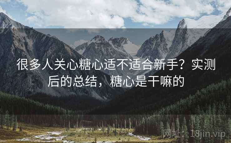 很多人关心糖心适不适合新手？实测后的总结，糖心是干嘛的  第2张