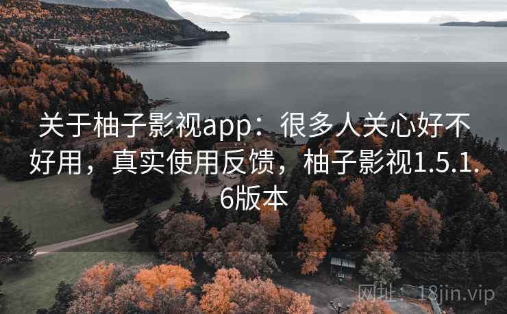 关于柚子影视app:很多人关心好不好用,真实使用反馈,柚子影视1.5.1.6版本 第2张 关于柚子影视app:很多人关心好不好用,真实使用反馈,柚子影视1.5.1.6版本 第2张